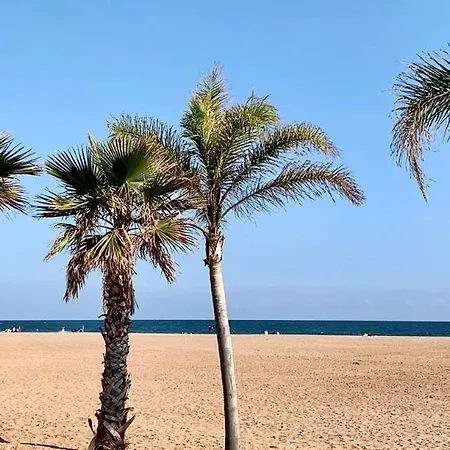 Havre De Paix Au Coeur Du Sud Cosy Climatise Piscine Privee Entre Et Tresors Du Languedoc * Puissalicon