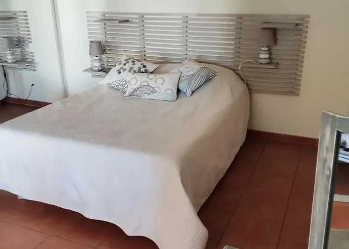 Havre De Paix Au Cœur Du Sud Cosy Climatisé Piscine Privée Entre Et Trésors Du Languedoc * Puissalicon