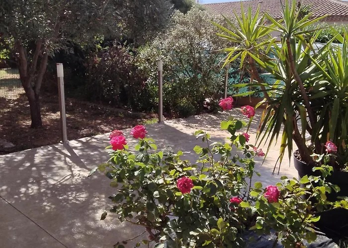 Apartamento Havre De Paix Au Cœur Du Sud Cosy Climatisé Piscine Privée Entre Et Trésors Du Languedoc