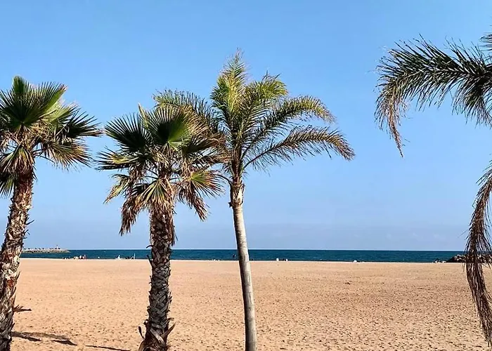 Havre De Paix Au Cœur Du Sud Cosy Climatisé Piscine Privée Entre Et Trésors Du Languedoc * Puissalicon